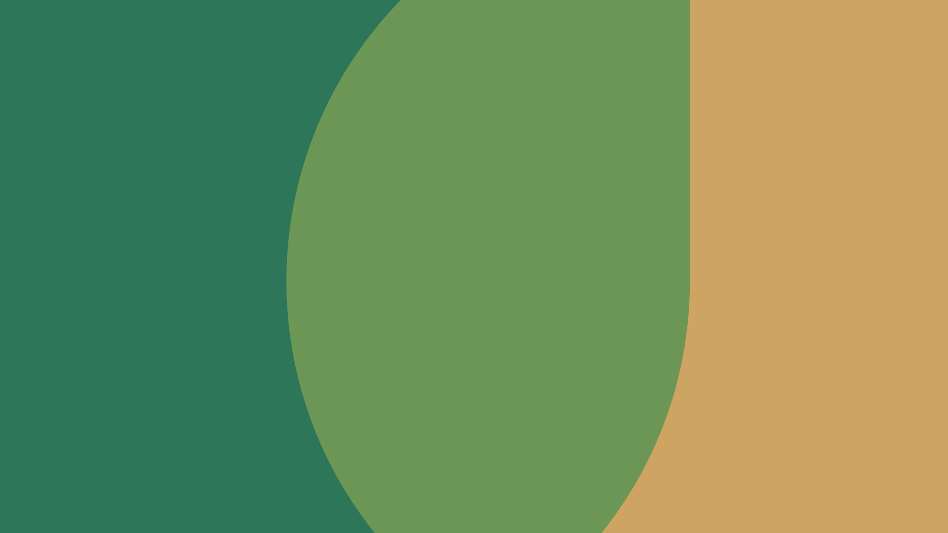 Brand Identity & Corporate Visual System